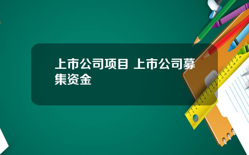 上市公司项目 上市公司募集资金